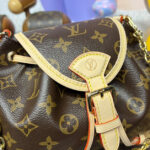 Louis Vuitton Odyssee Bag M25085 Brown
